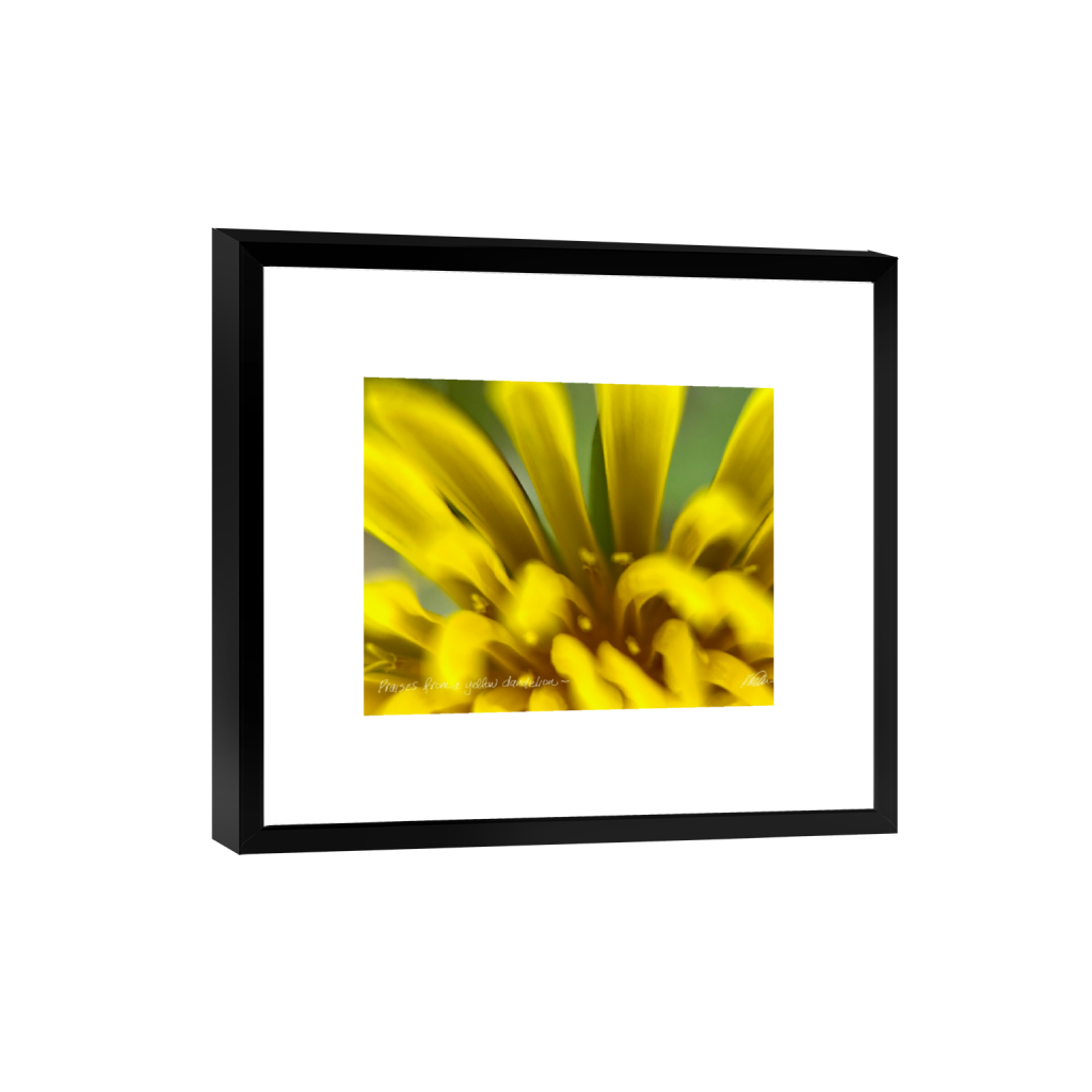 smartframe_rectangle4_5_85_0_2560_2048_0_false_ffffff_0_0.png