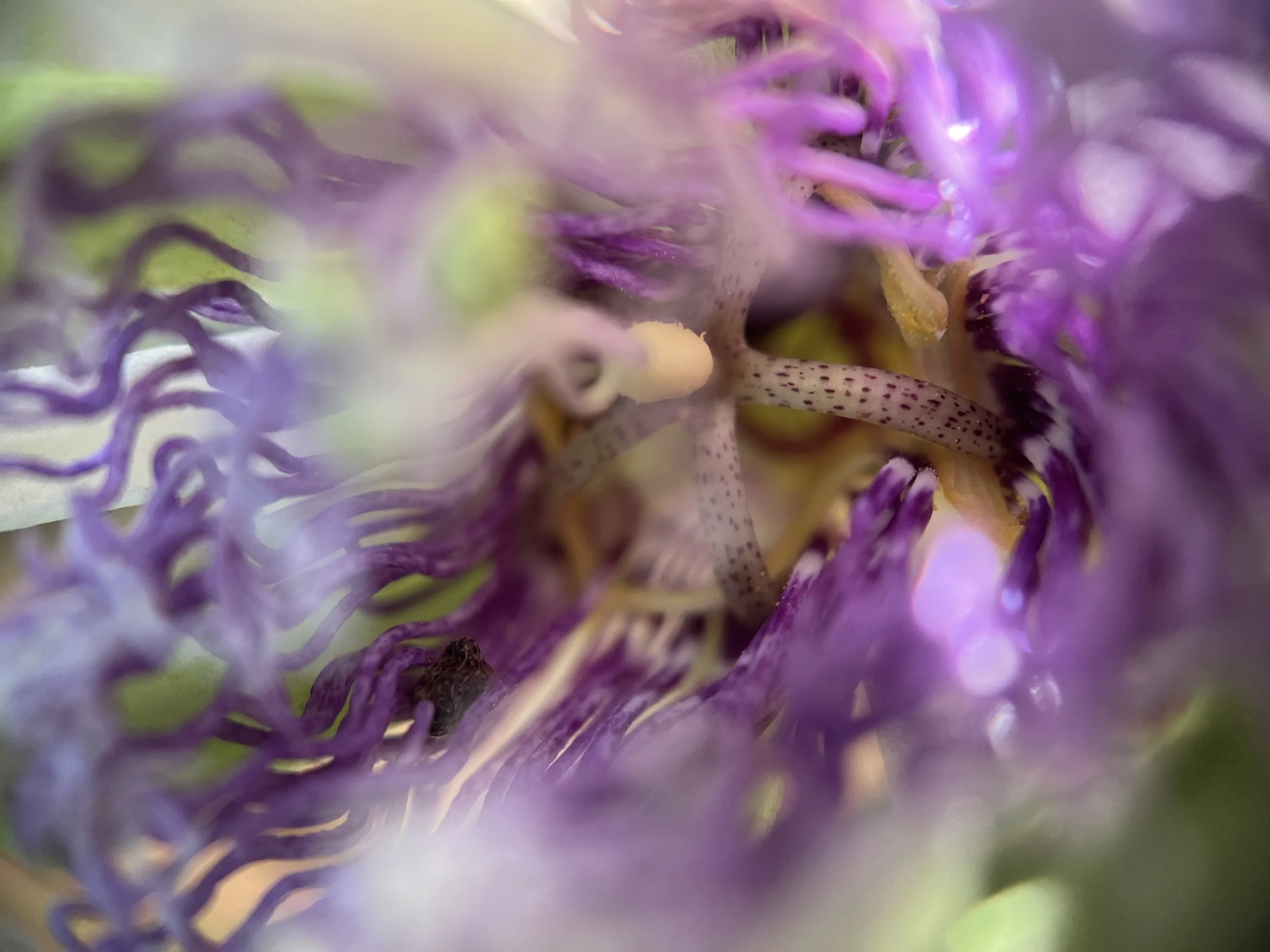 BD6BFD35-4177-49BF-A032-E1D44B94AFB6.jpeg