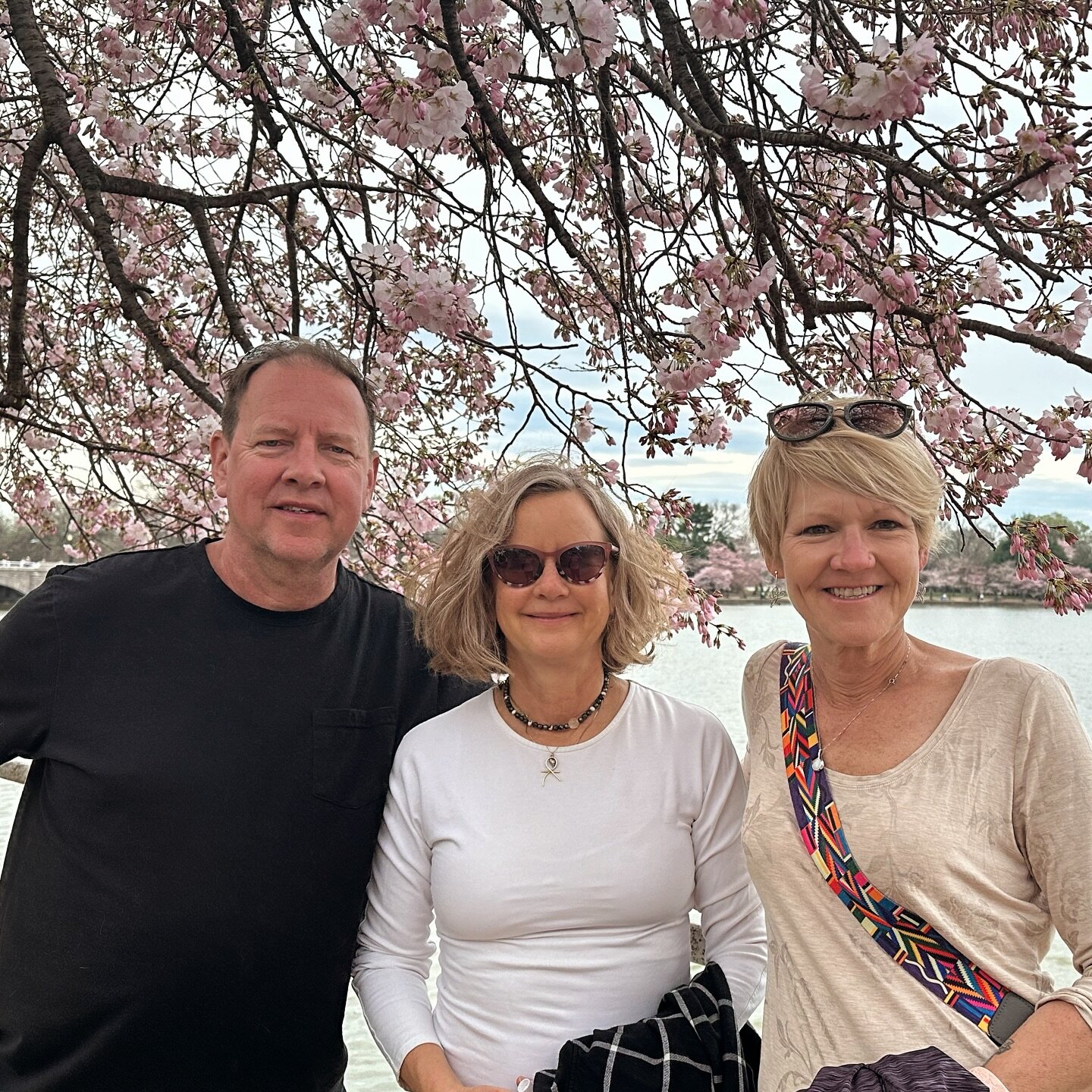 Nice visit with my favorite sister-in-law and my younger brother ~ tidal basin is about to burst cherry blossoms ~