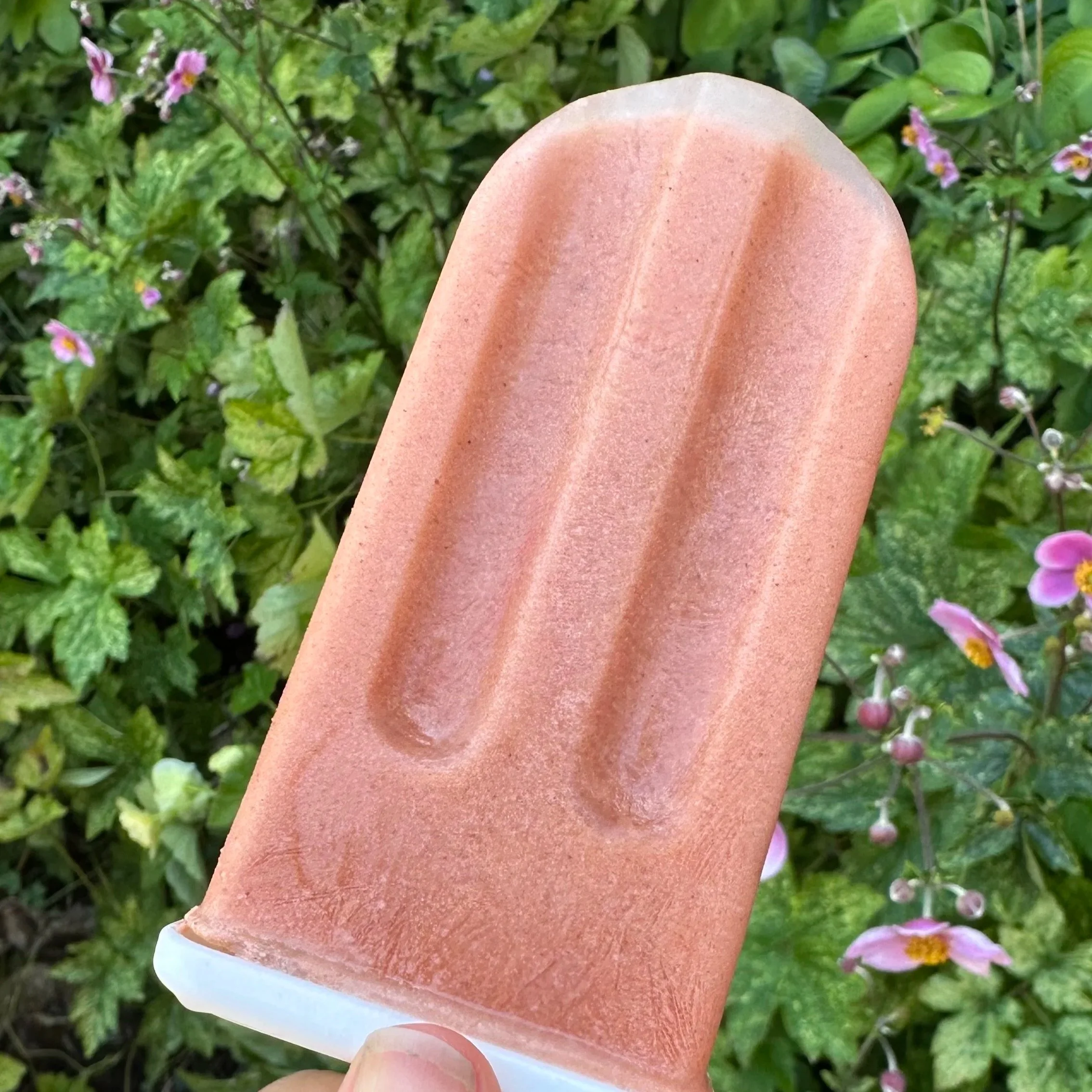  Watermelon, cashew, vanilla, salt and cinnamon.  