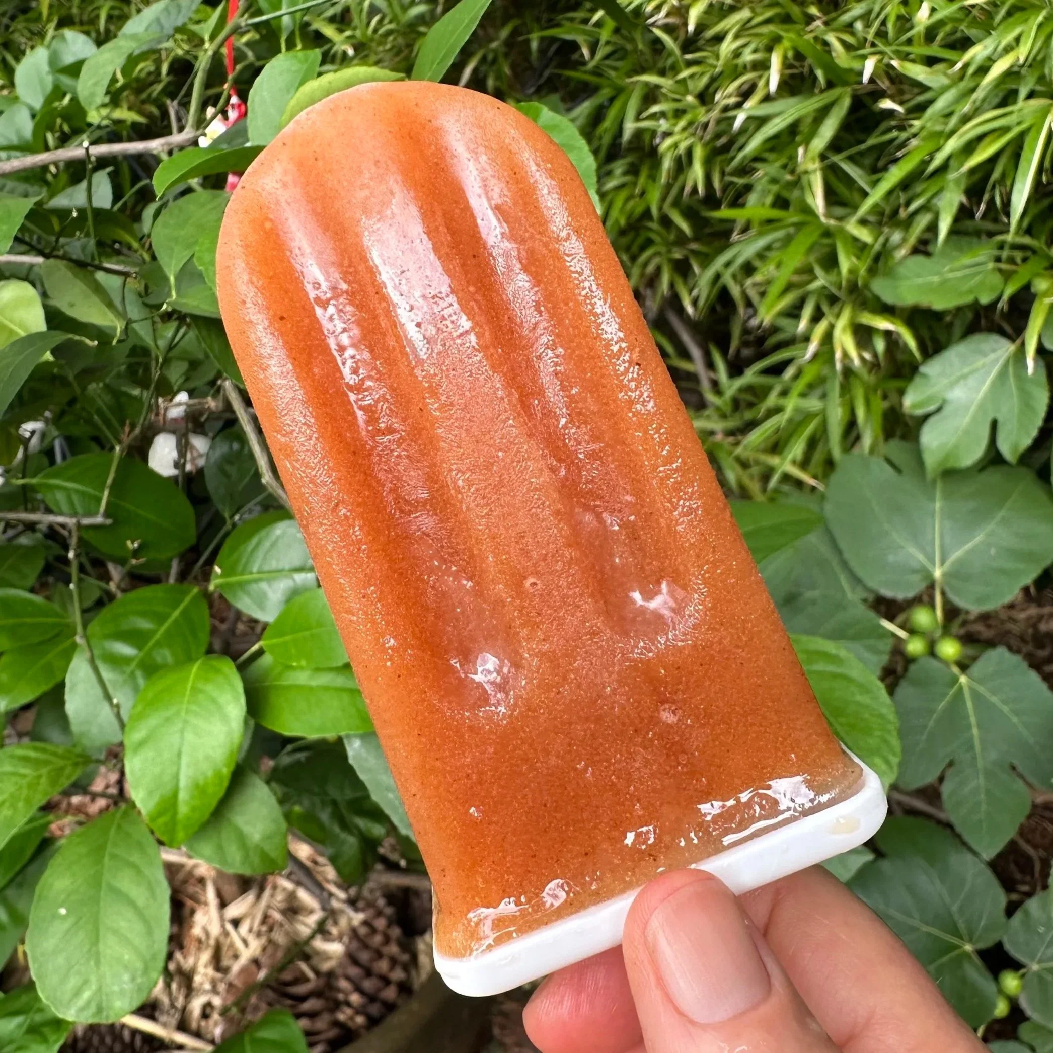  Papaya, coconut water, cinnamon and vanilla, pinch of salt 