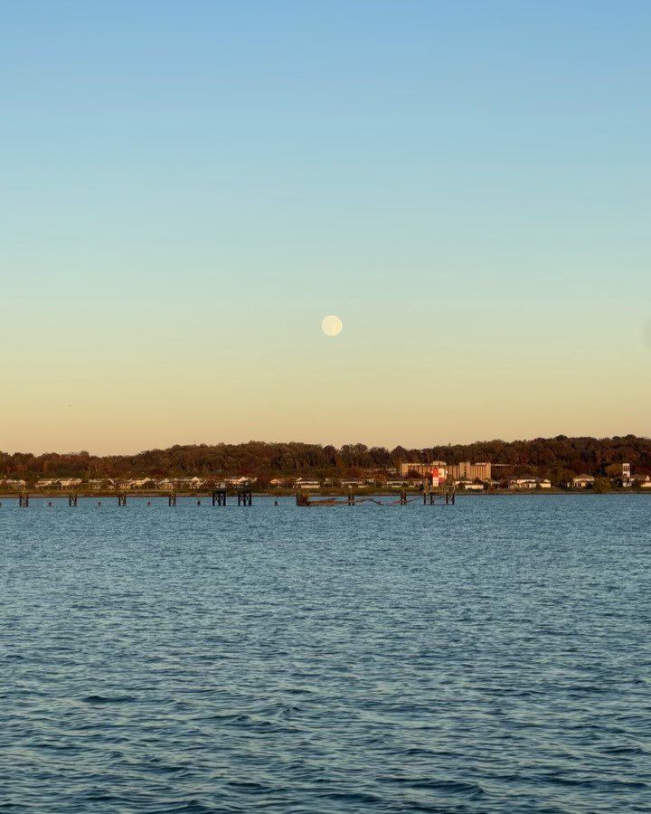 Last sail of the season with friends ~ full moon rising!