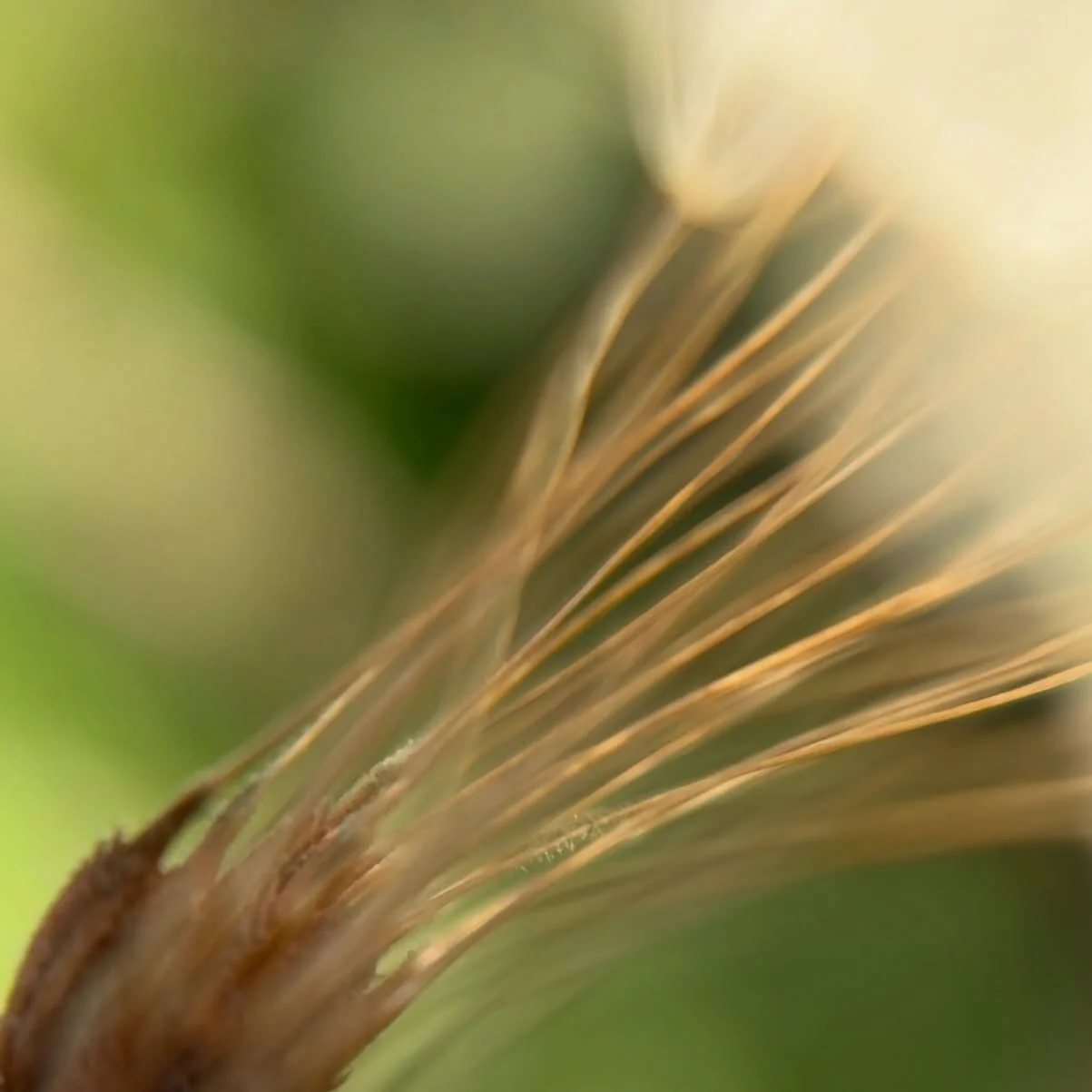 December line ~ light ~ color ~ life ~