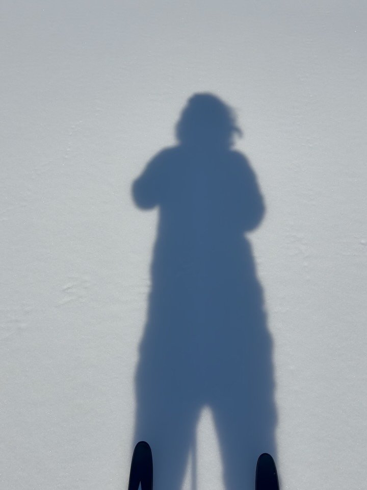 Icy shimmery ski on Langston golf course ~