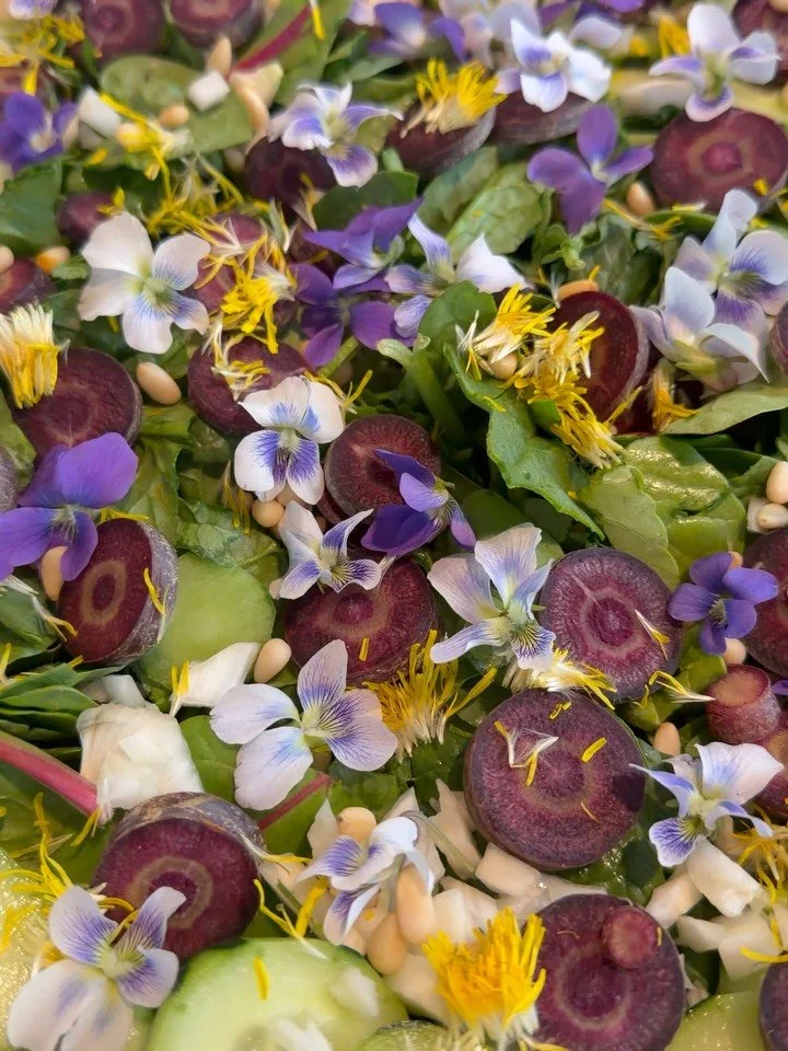 Easter Sunday Salad ~ 

Hearty baby greens, fennel, cucumber, red carrots, pi&ntilde;oles, and foraged dandelion flowers and violets ~ fished with a pi&ntilde;oles shallot garlic dressing from @garlicloverdressings recipes 🐇