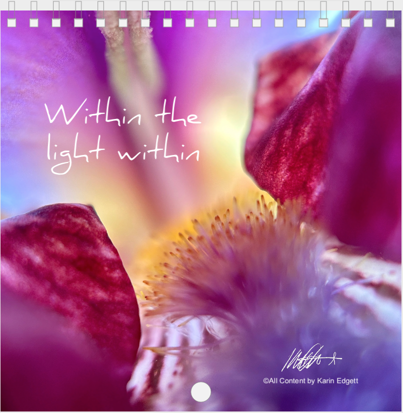 Within the Light Within ~ a new years message and 2024 Botanical Calendar