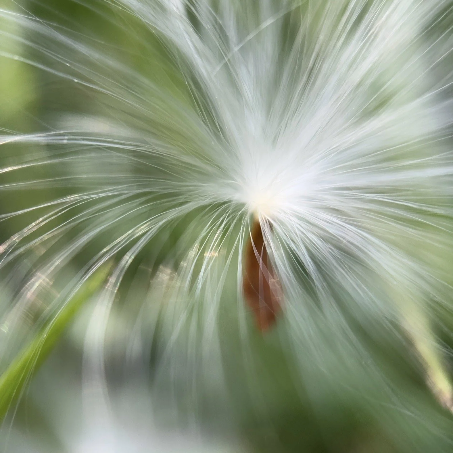 She:DC Local Makers and Artisans Show