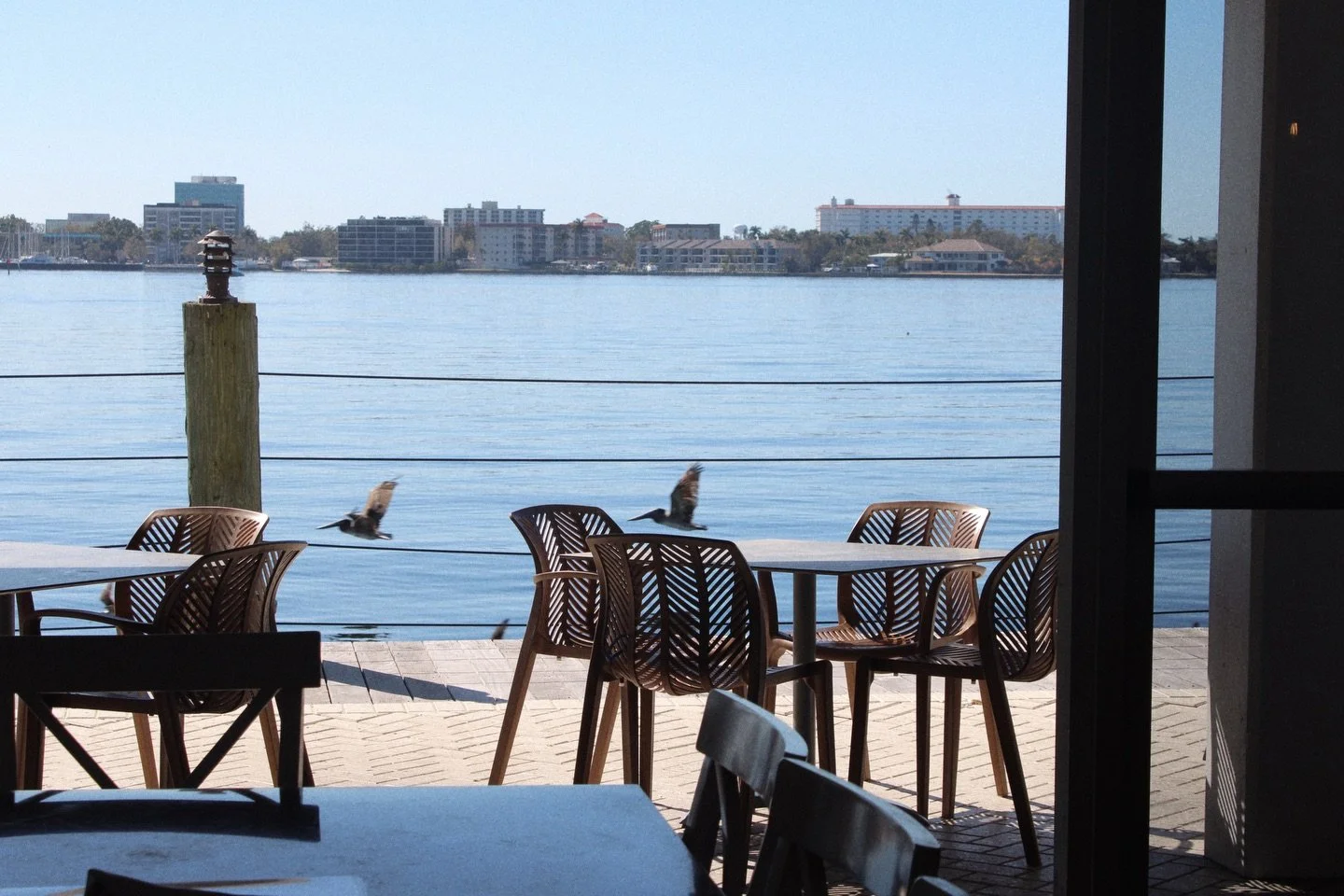 Taco Tuesday in paradise 🌮🌴 $7 house margaritas &amp; $12 chef selections taco flight