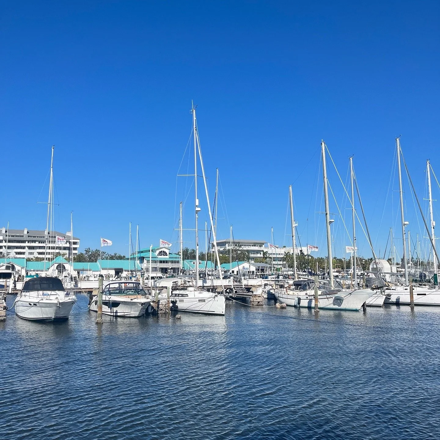 Celebrate Cinco de Mayo on the water tomorrow 🥳🎉 Join us for Cinco de Mayo specials, $12 taco flights + $7 house margaritas! We can&rsquo;t wait to serve &amp; celebrate with you tomorrow! 🌮