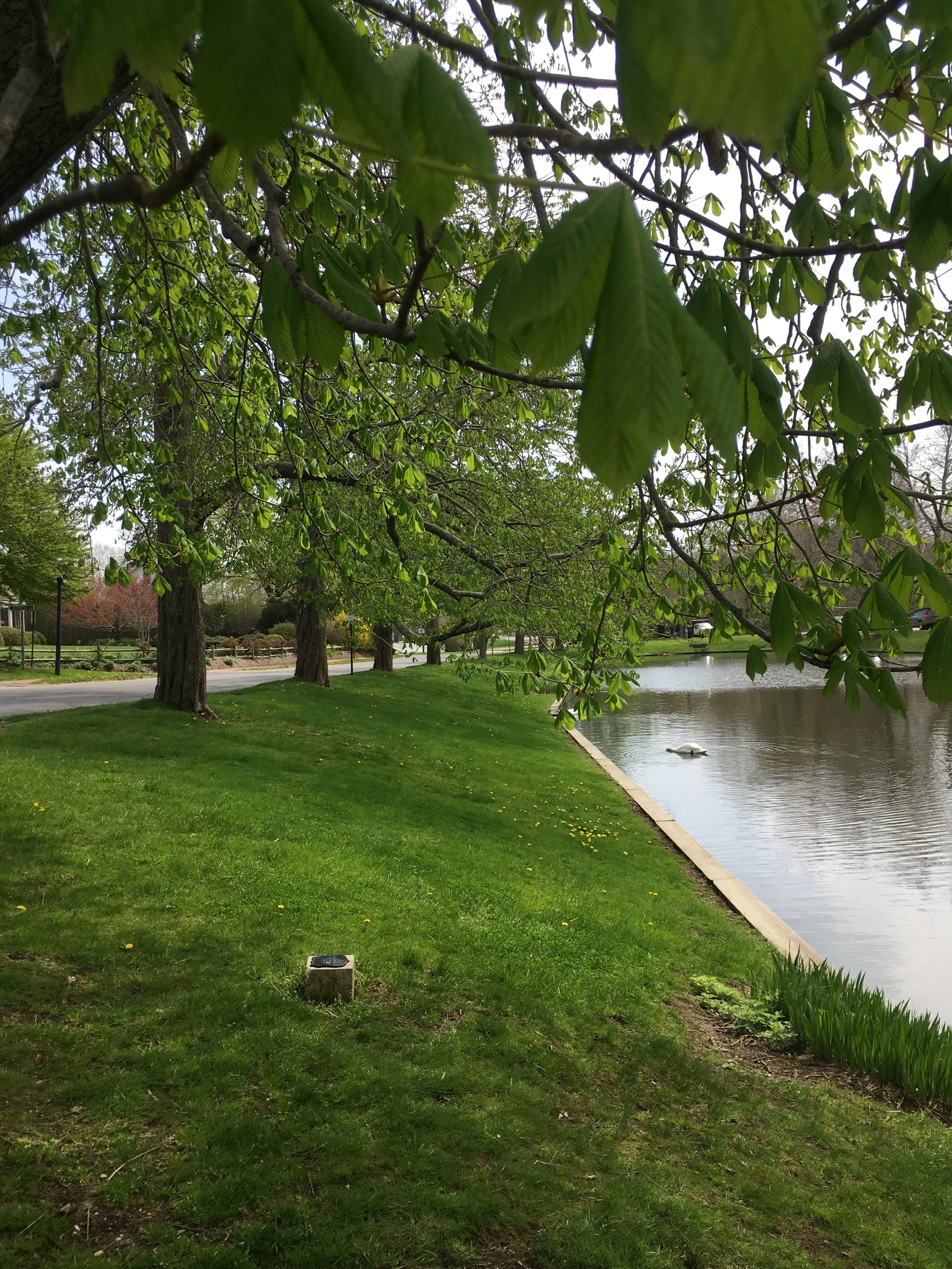 Memorial/Dedication Plaques