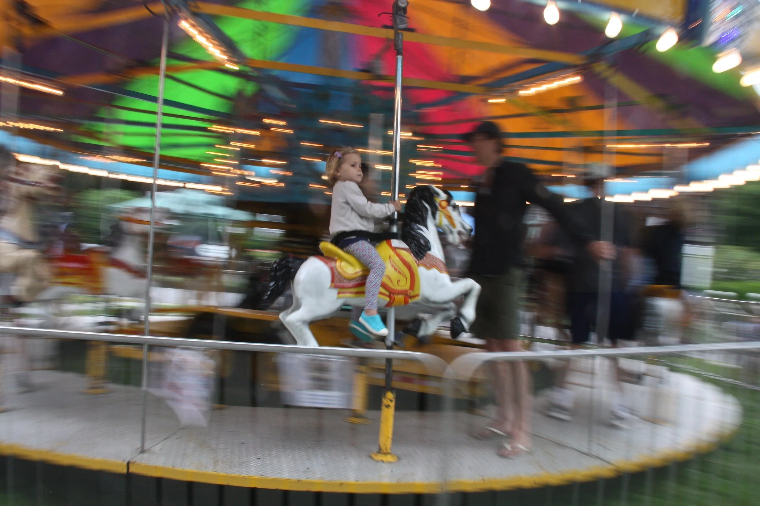 LVIS Annual Fair 2025