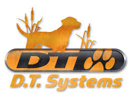 D.T. Systems logo