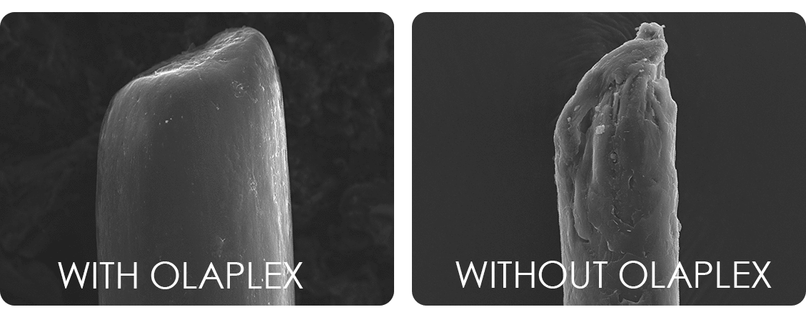 olaplex-nottingham.png