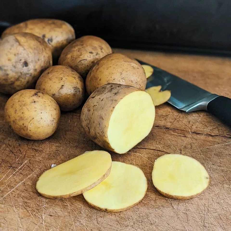 Welcome new vendor Channing Family Farm!  Brothers Teague & Kosma and their families farm up Twisp River Rd where they use draft horses to grow an array of storage crops, & in huge quantities no less! We are thrilled to have them selling thro