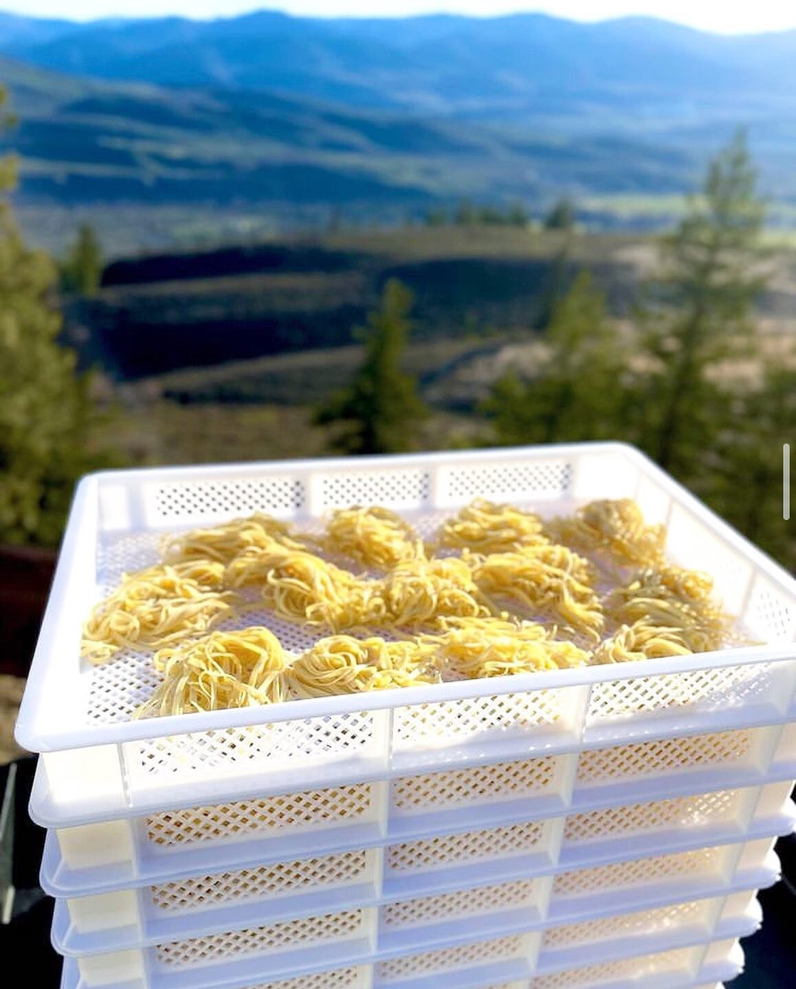 Welcome new vendor, @twispasta ! Mike has been selling fresh cut pastas, take&rsquo;n&rsquo; bake lasagnas &amp; raviolis since early 2021, &amp; we are so excited to have his lemon parm ravioli &amp; fresh tagliatelle noodles available this week! 🍝