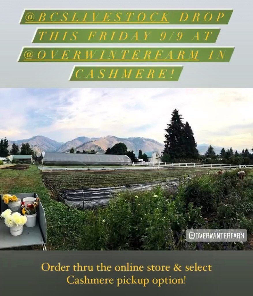 Round two drop in Cashmere happening THIS Friday 9/9 at @overwinterfarm !
..
Tell your Chelan Co. friends to stock up on @bcslivestock lamb &amp; beef for Fall! 
..
Simply order thru our online store (link in bio), select the Cashmere pickup, &amp; g