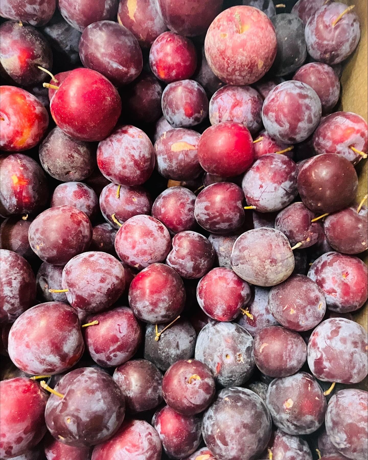 So much goodness available this week! Fruit includes plums, peaches, apples, strawbs, &amp; melons, plus loads of veggie offerings from @groovyveggiefarm , @nettlegrovefarm , @posterityfarm &amp; Ruby Slippers Organic Farm. @nettlegrovefarm eggs are 