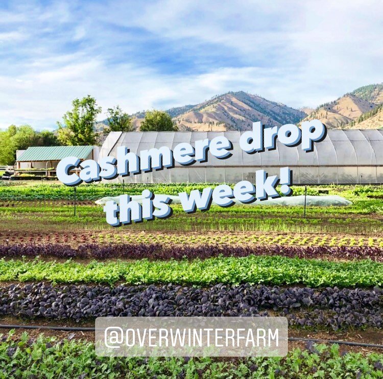 In addition to serving our Methow community, we&rsquo;ve also recently been trying to expand our reach to make connections in neighboring counties. That&rsquo;s why we are SO excited to be partnering with @overwinterfarm in Cashmere this week to try 