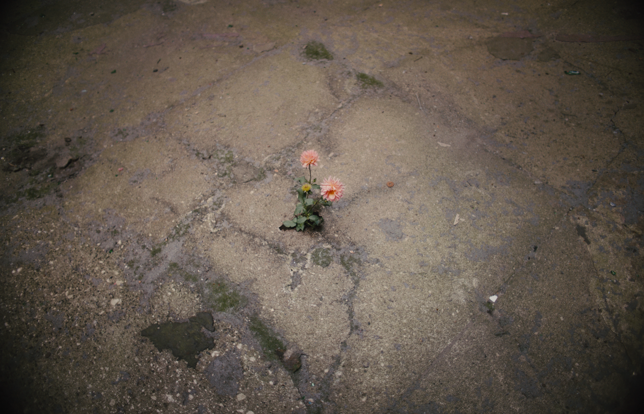 TOKALA_NYC_YLC_FINAL_CUT.01_08_36_22.Still056.png