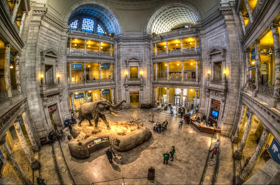 NHM2.jpg