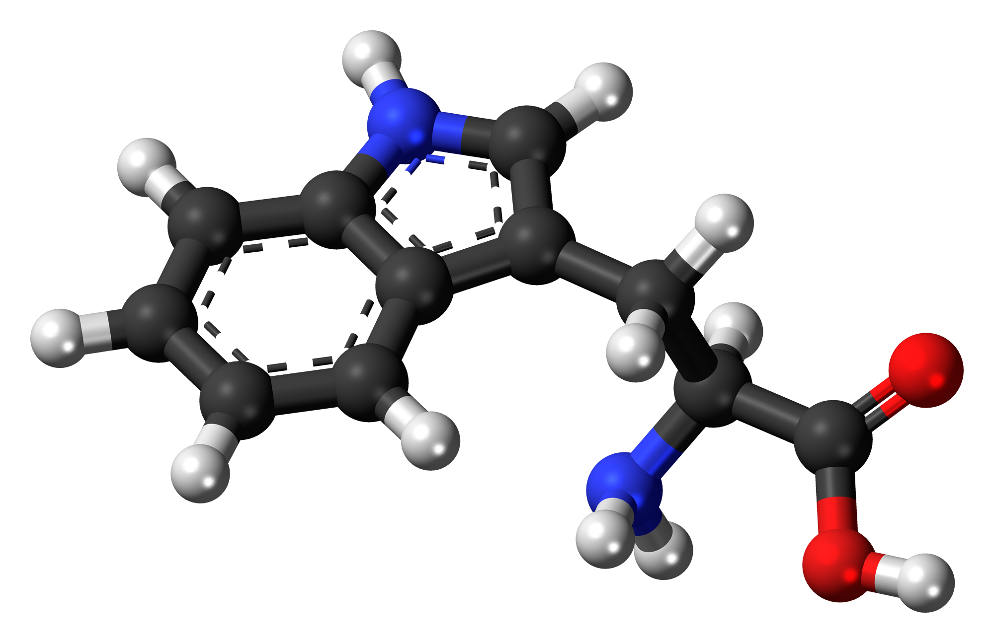 molecular structure of tryptophan in multi color