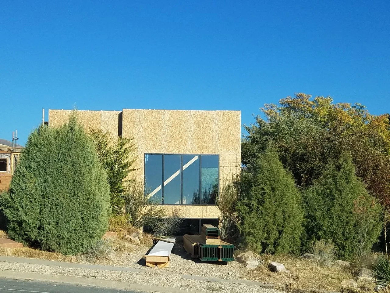 Capital with Trees.JPG