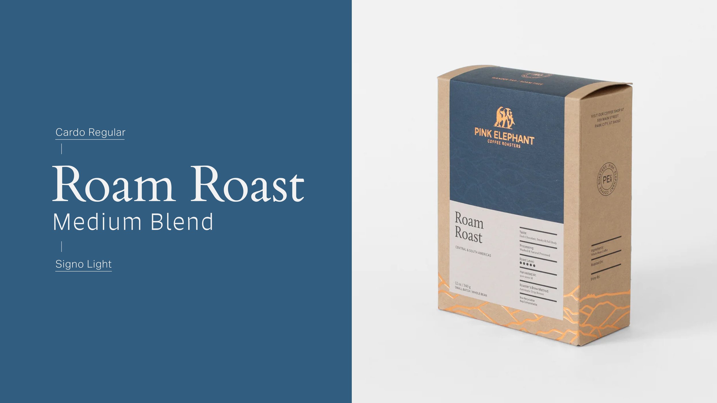 Featured Work - Paradigm-2.jpg