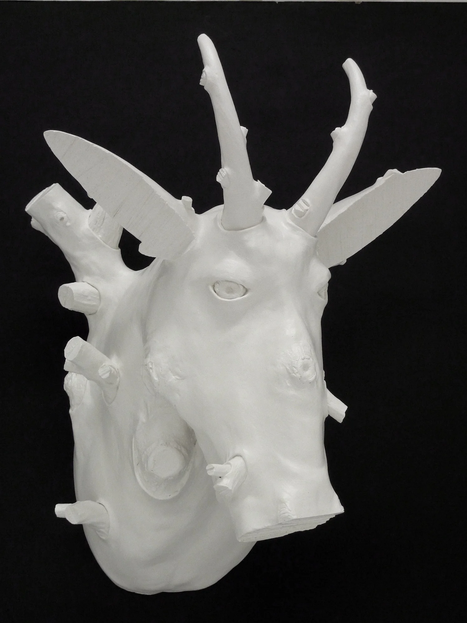 Mountain Goat 6.jpg