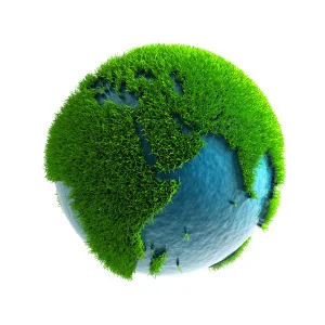 green.jpg