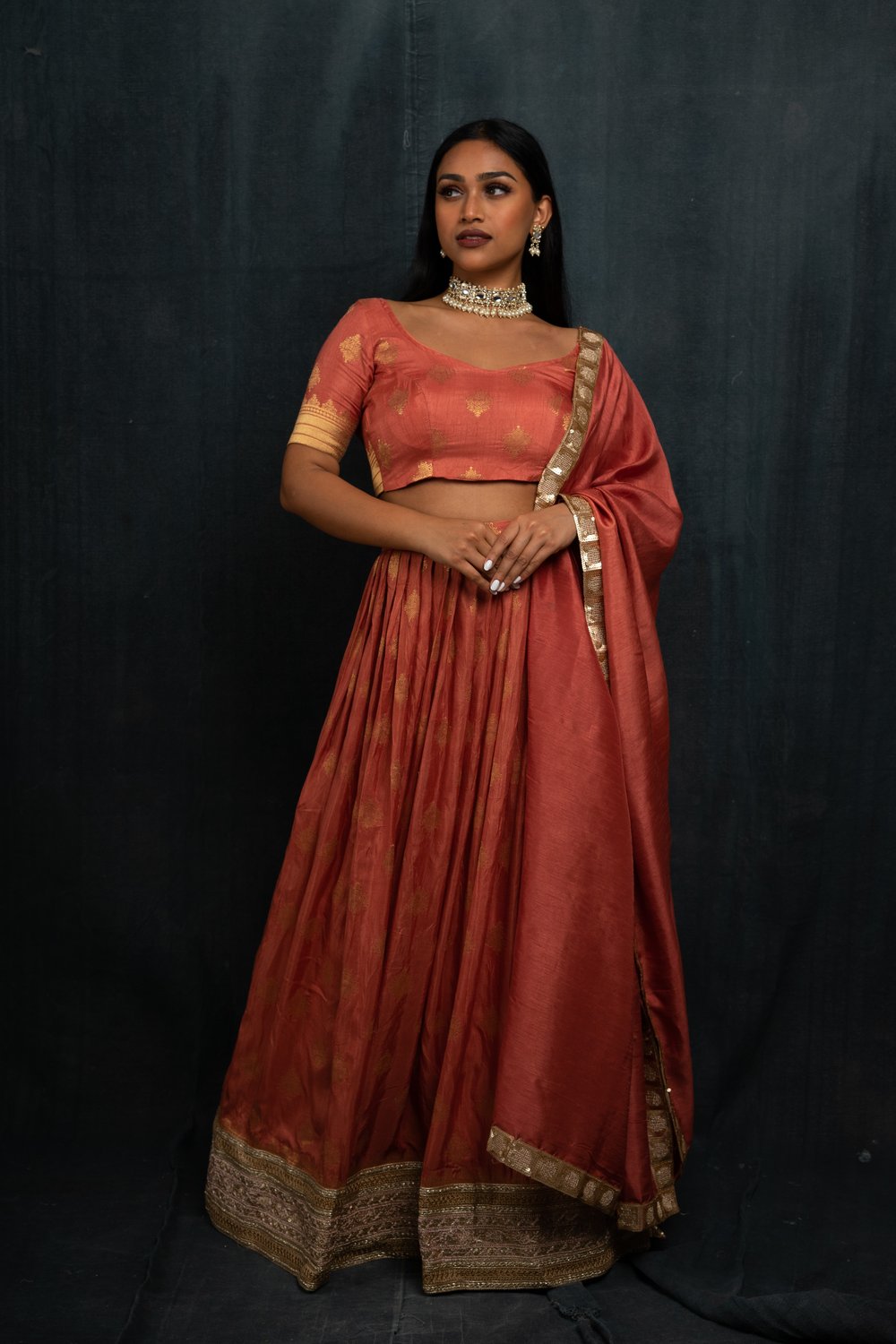 Banarasi Lehenga Dress
