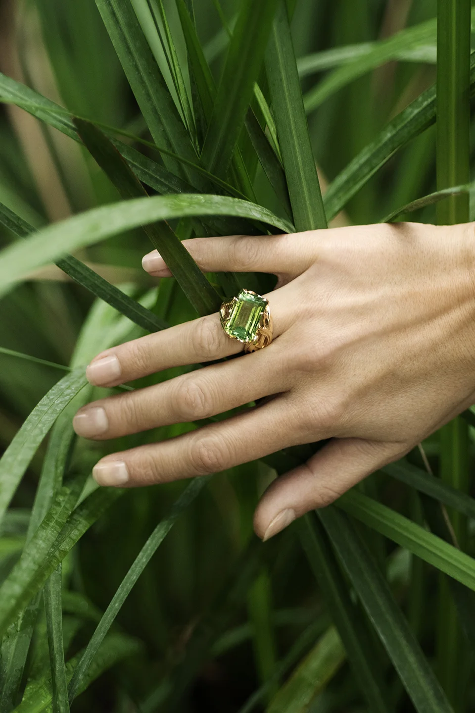 TM_Bague5_DSC5805.jpg