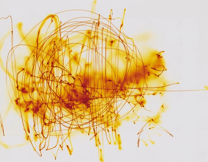 Photographer: Margaret Maguire