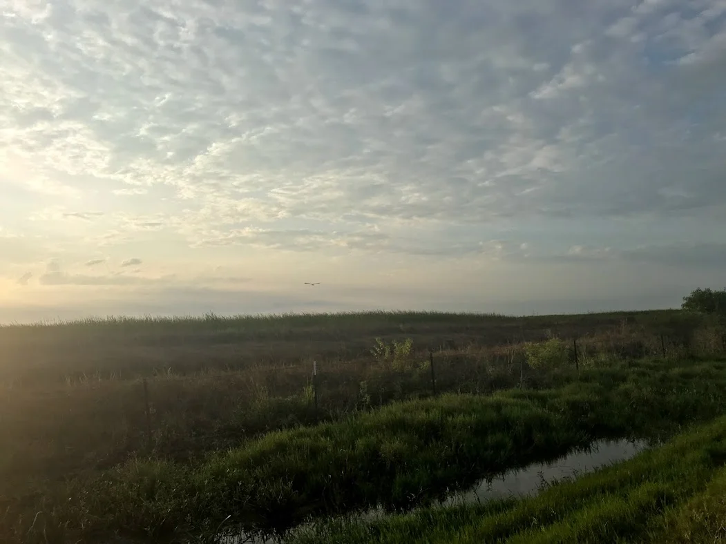 Coastal prairie outside of Houston, Texas
