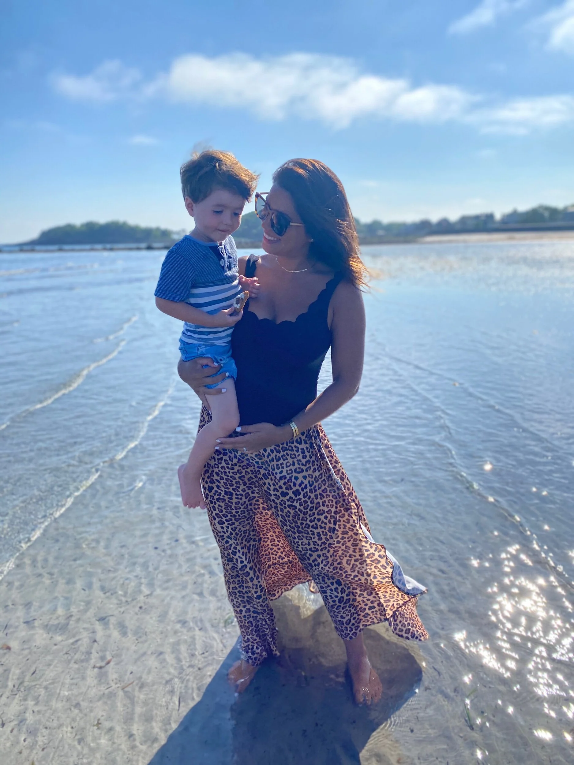 Planning for Pregnancy and the First Trimester With an Autoimmune Disease