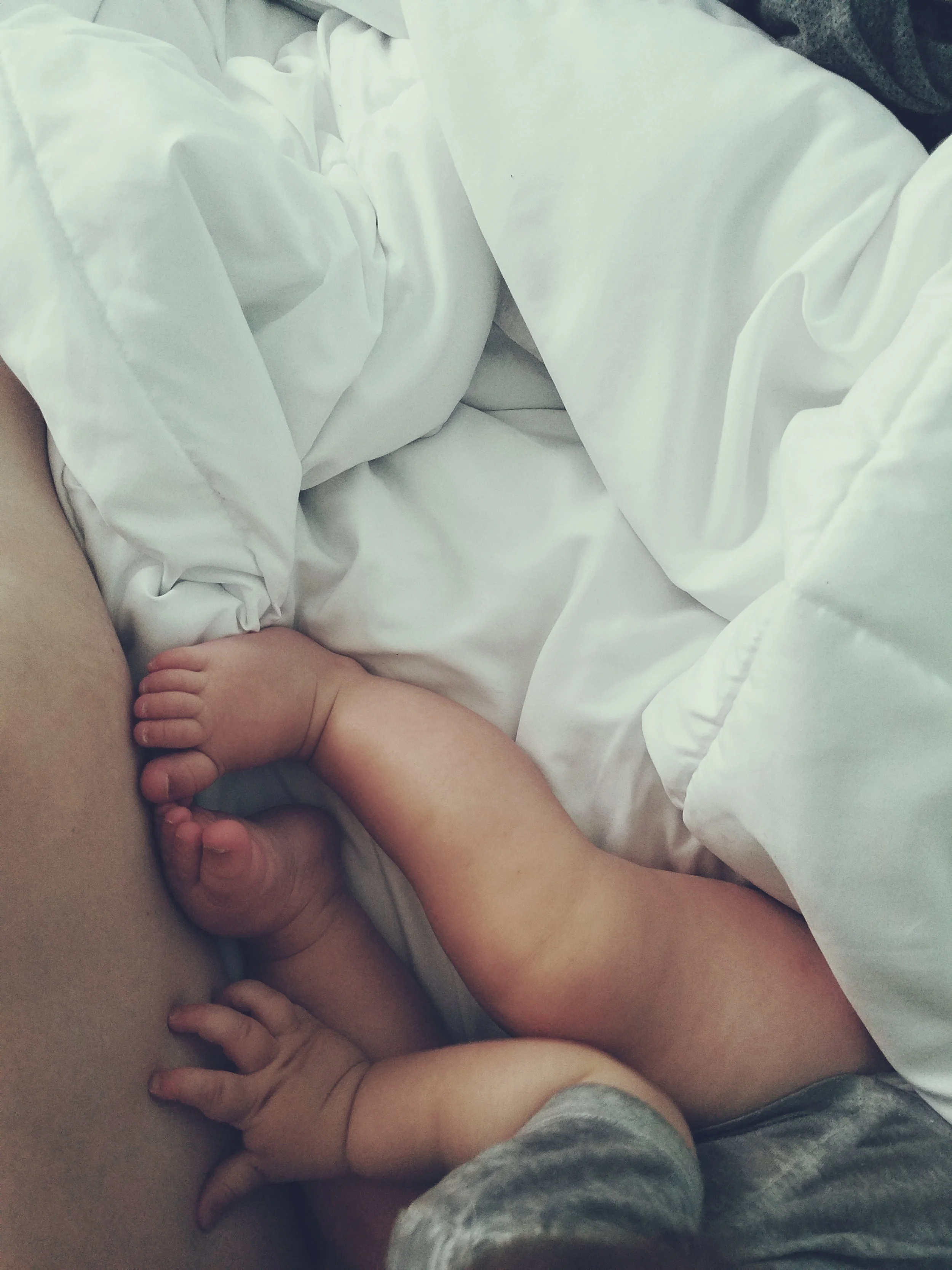 2018-07-18 10.11.14 1.jpg