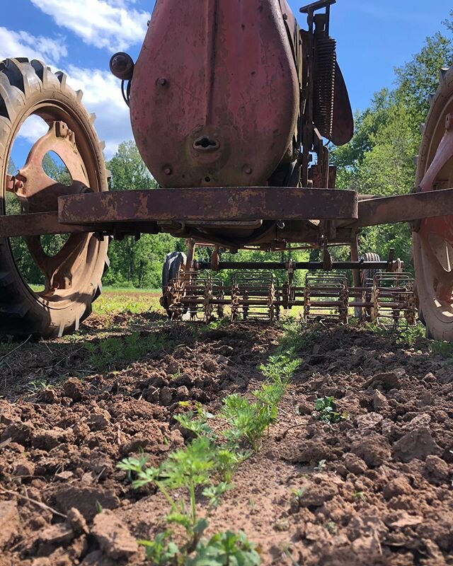 We use our Alice chalmer model G from 1953 to weed so we don&rsquo;t have to (when she&rsquo;s workin&rsquo;). Still love her though!