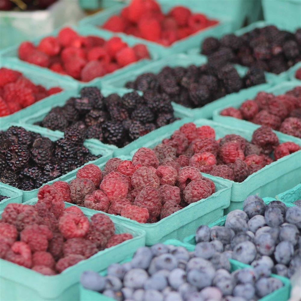 Agriberry Farm berries