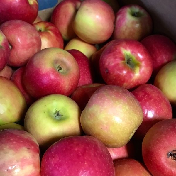 Henley's Orchard Apples