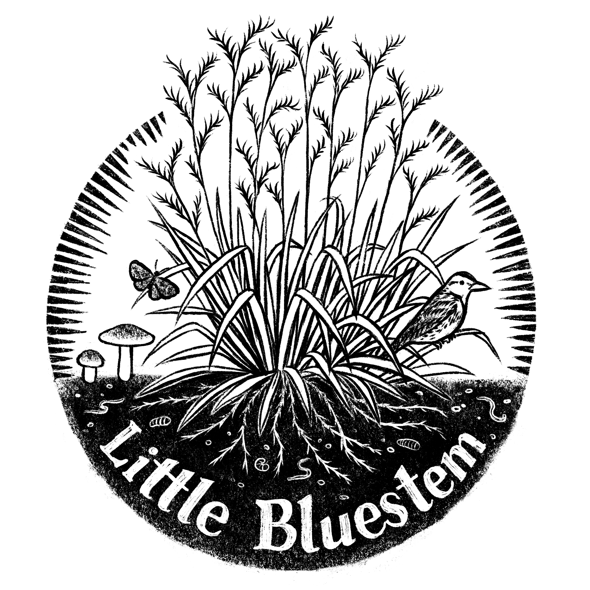 Little_Bluestem_logo.png