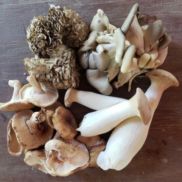 Mushroom Share copy.jpeg