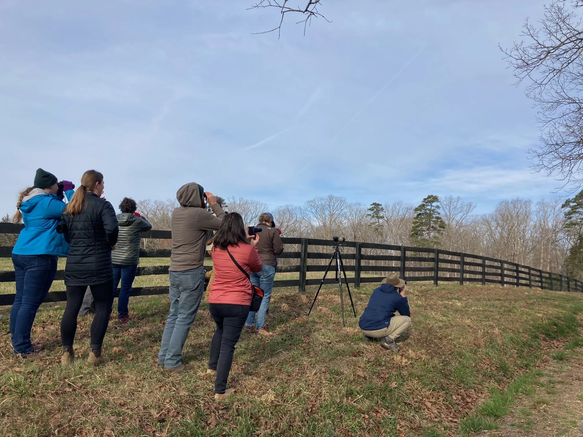 Late Winter Bird Walk