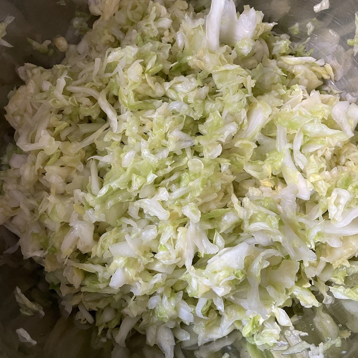 freshly salted and squeezed cabbage