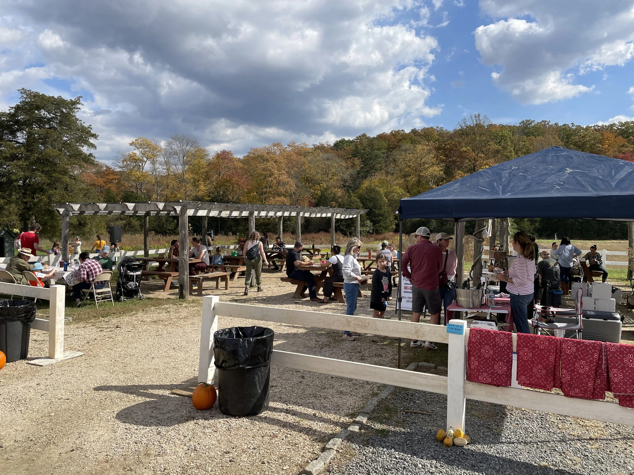 Fall Fest 2024_pergola crowd.JPG
