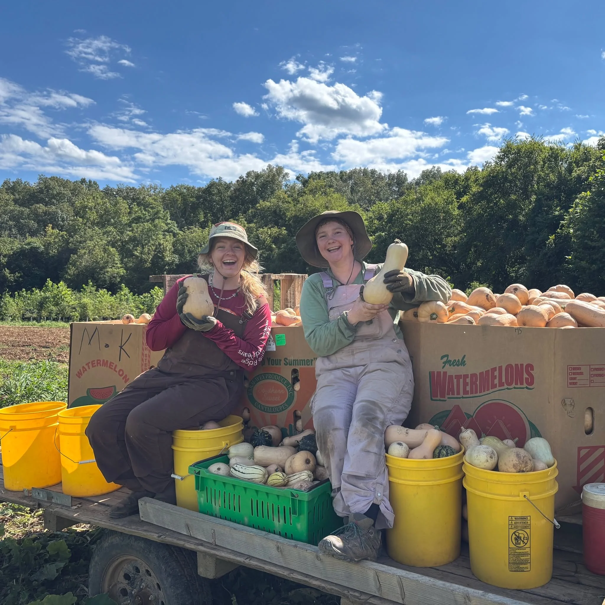 If you get excited about new veggies this late in the season,  farming might be the right job for you. 

Danielle and Hali here, with the 2025 butternut harvest (with a few delicata mixed in). 

Our Second Saturday event is tomorrow from 9am-2pm. Sto