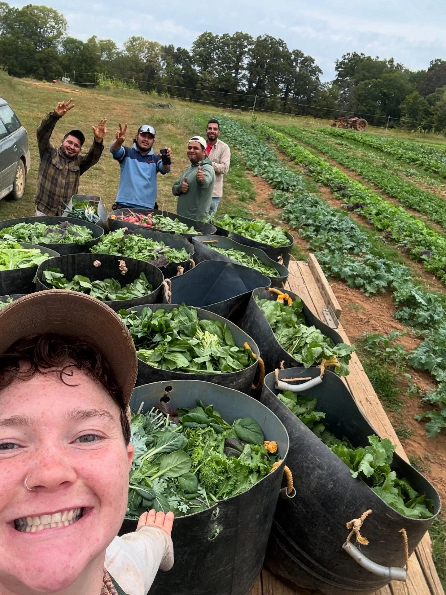 Another week of fresh greens 😉👍✌️

Lots of market options for in person shopping:
Tues @ Trinity Presbyterian 4-6:30
Wed @ Pen Park 3-7
Thurs @ Sojourner&rsquo;s Church 4:30-7

Preorder by Thursday at noon for Fri-Sun preorder!