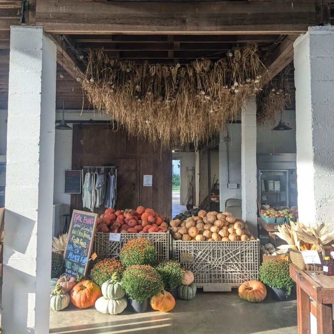 Fall is around the corner and we have some announcements:

🍁 Our Fall Festival will be Oct 24-25! Check out the event page on our website to find out what makes this year's festival so exciting. (It's FREE, and we're cohosting with a special partner