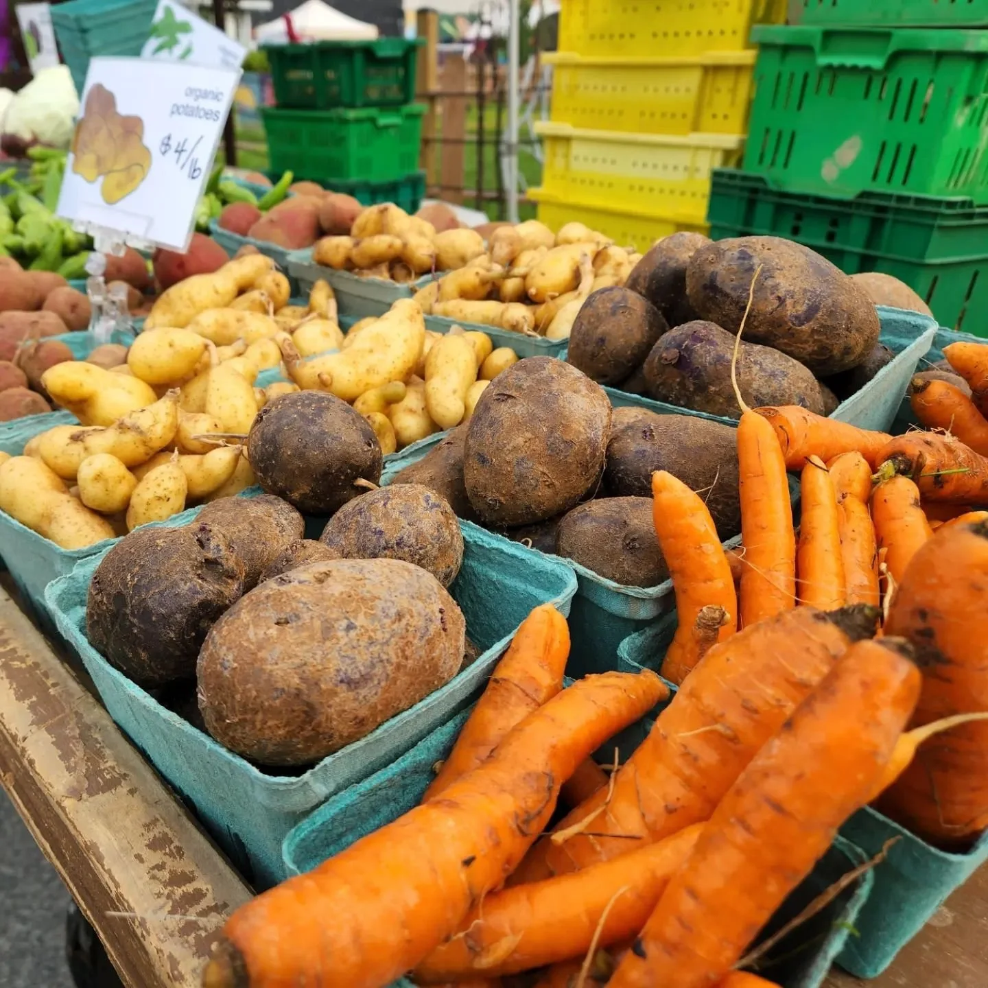 There's still time to preorder for Friday-Sunday market locations. Order by noon today and get seasonal veggies &amp; fruits, plus eggs, dairy, meat and more:

-tomatoes, potatoes, peppers, okra, carrots, beets, greens, scallions, eggplant, winter sq