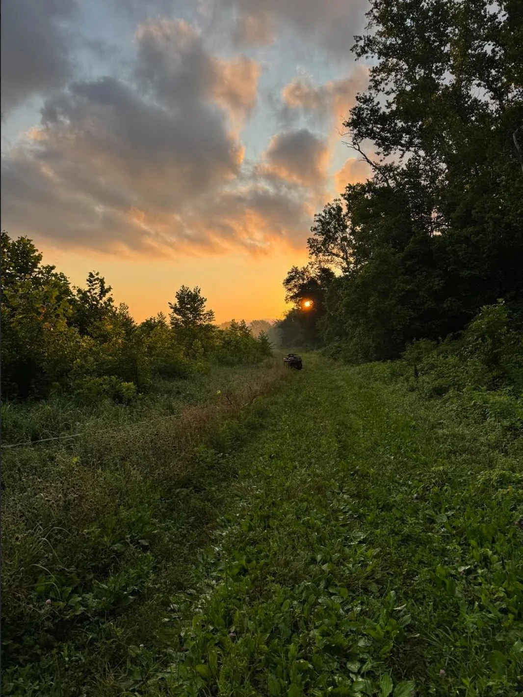 The sun is setting on the the 2025 summer CSA season. We just wanted to take a moment to reflect on the bounty this season has offered. Throw back Thursday #tbt to all the yummy meals yall made with your CSA!! What were your favs you made this year? 