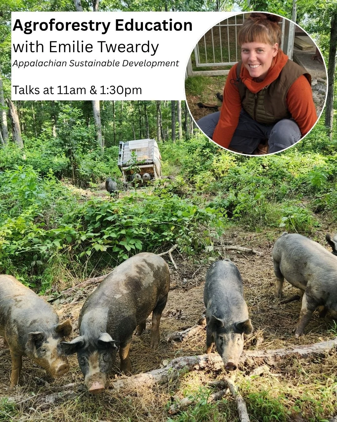 Two very special guests are coming to Fall Fest, Oct 25:

Appalachian Sustainable Development sharing Agrofestry Education
11am &quot;What Is Agroferestry?&rdquo;
1:30pm &quot;Productive, Multi-purpose Plants for Your Landscape&quot;
with Agroforeste