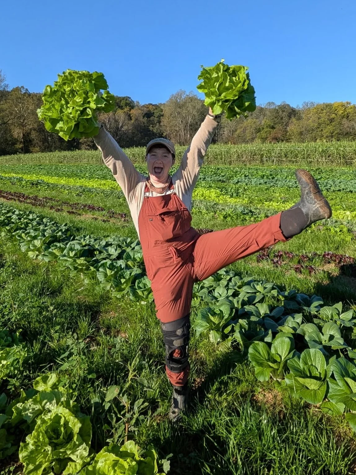 let&rsquo;s hear it for this fabulous fall lettuce! this is that magical time before frost when we&rsquo;ve still got some warmer weather veggies in addition to the fall storage types, like winter squashes and potatoes. 

available this weekend:
-Fri